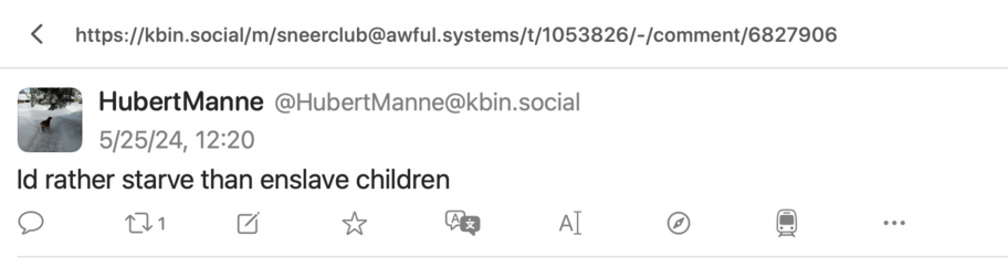 screenshot of toot: 

‹ https://kbin.social/m/sneerclub@awful.systems/t/1053826/-/comment/6827906
HubertManne@HubertManne@kbin.social
5/25/24, 12:20
Id rather starve than enslave children